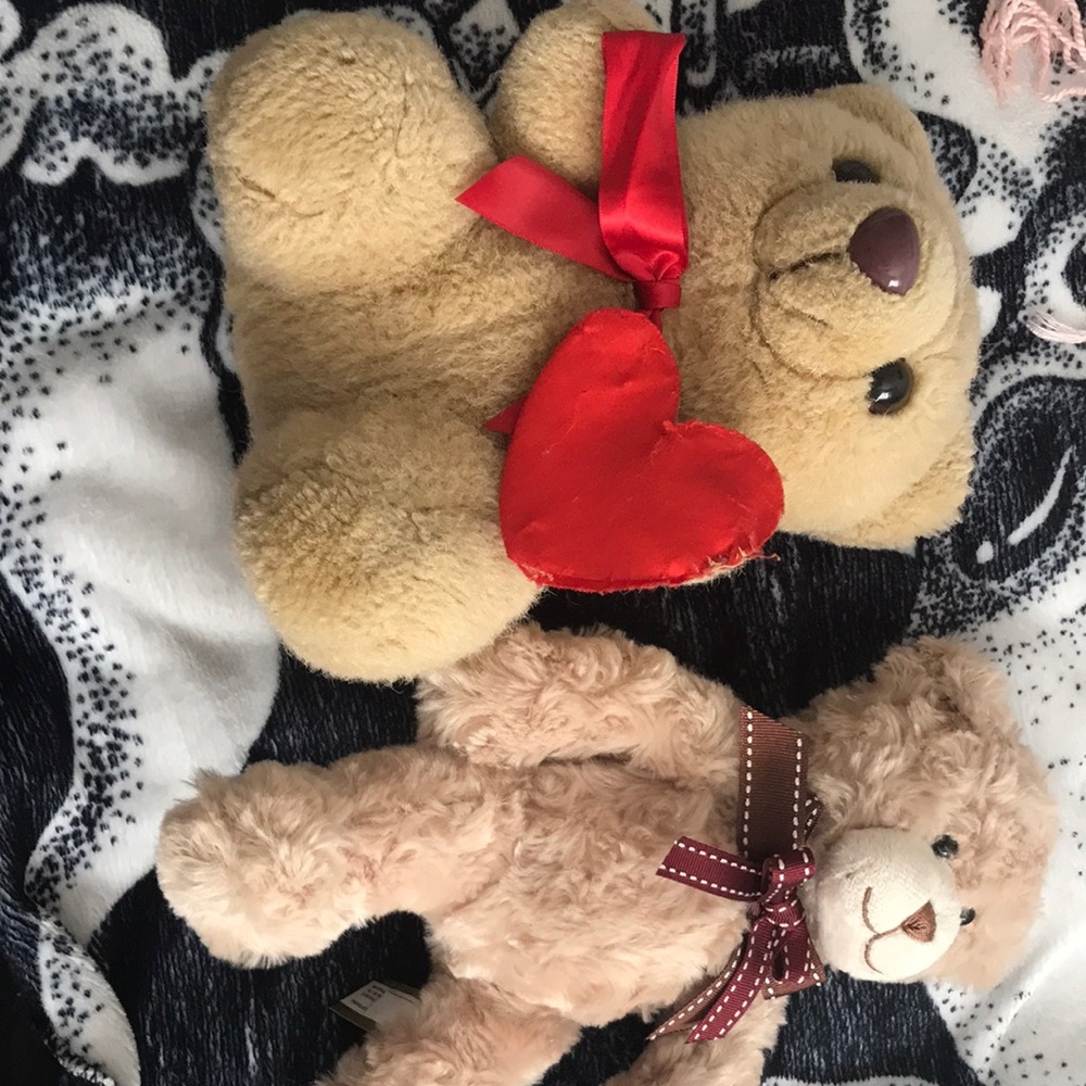 Cute little plush bears